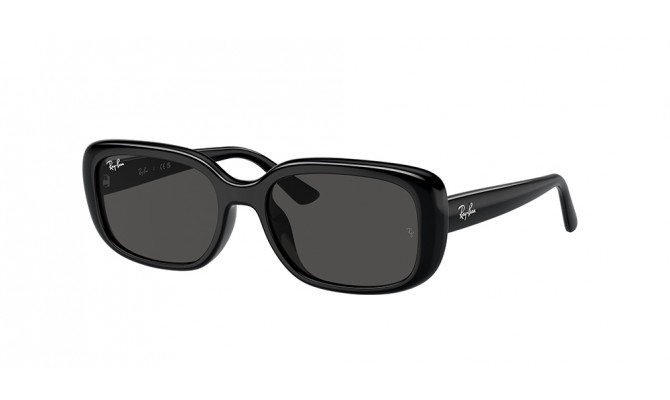 Ray-Ban RB4421D-667787